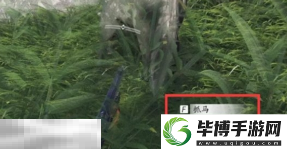 燕云十六声马怎么抓