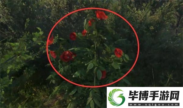 天国拯救2深山隐士支线任务攻略分享