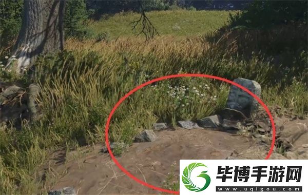 天国拯救2深山隐士支线任务攻略分享