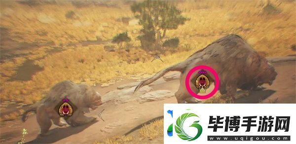 怪物猎人荒野大小金如何速刷
